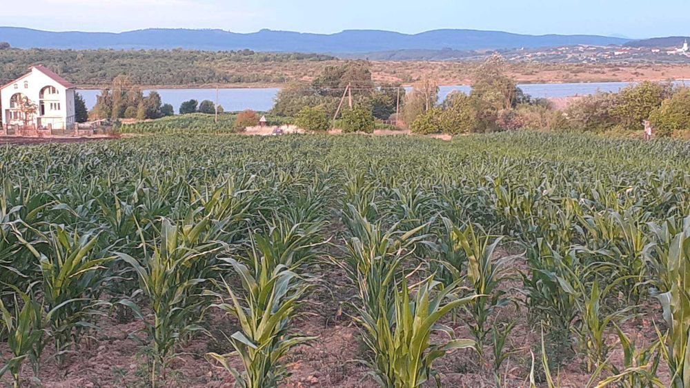 Земельна ділянка під Постройку в с.Пістрялово