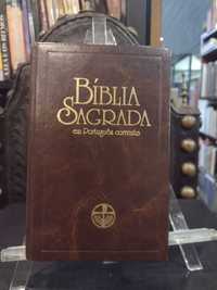 Bíblia Sagrada em Português Corrente