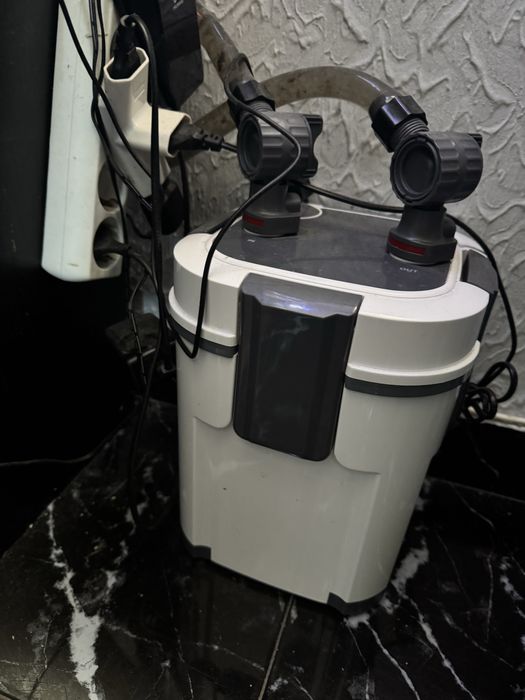 Vendo aquario a trabalhar