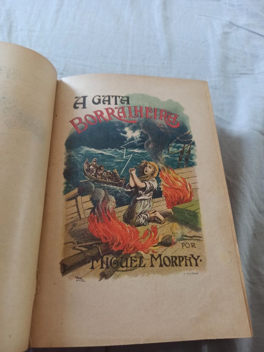 A Gata Borralheira - Livro de Miguel Morphy - Ilustrado - 2000 páginas