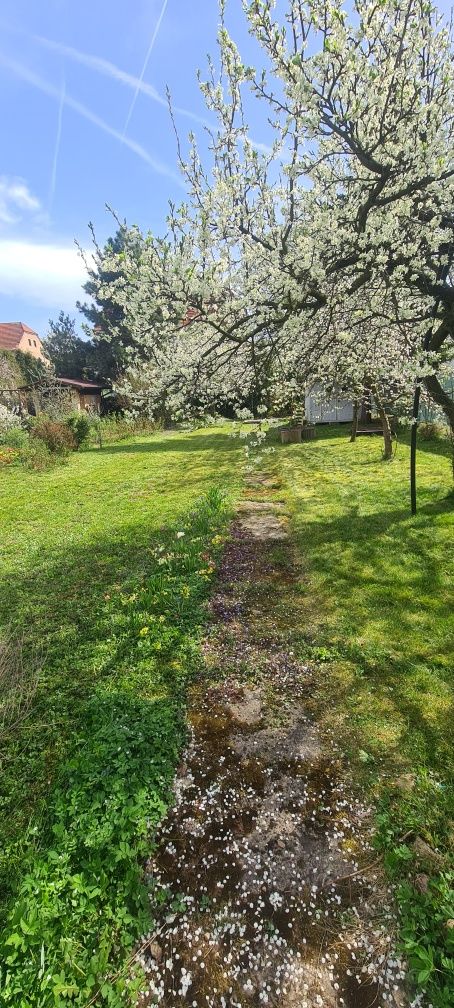 Działka ROD Legnica Bielany rodos