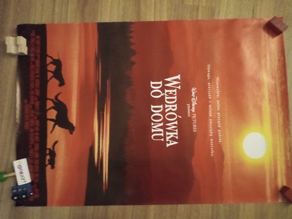Oryginalny plakat filmowy przyniesiony z kina - "Wędrówka do domu"