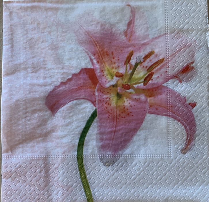 Guardanapos para découpage