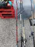 Cana DAIWA Saltist Strong