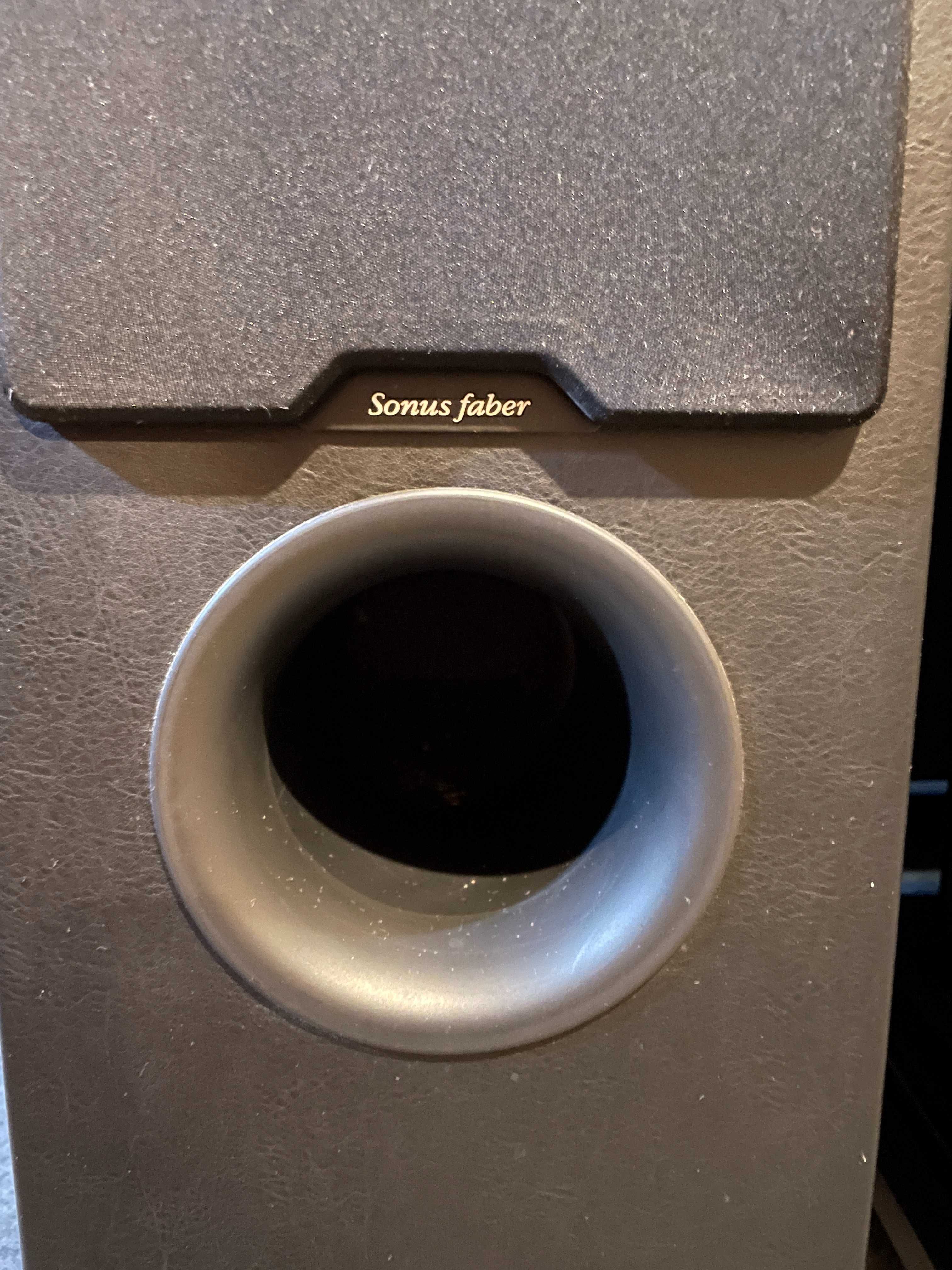 Kolumny podłogowe Sonus Faber Chameleon T z panelami piano black