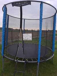 Trampolina 250 cm