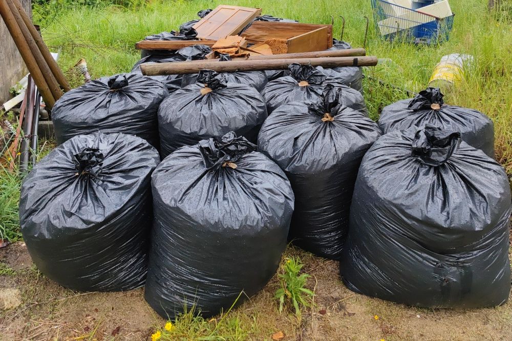 Casca de Pinheiro ( decoração jardim)