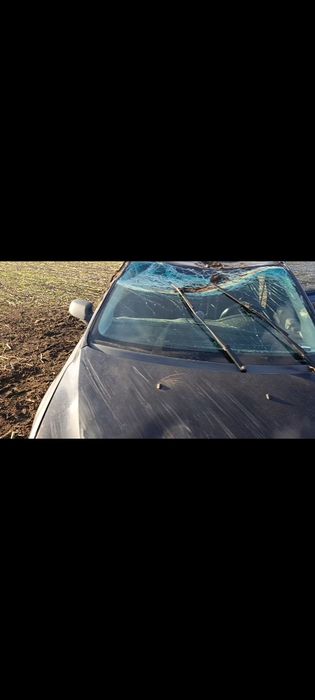 Ford Focus 2 покоління 2005,після дтп