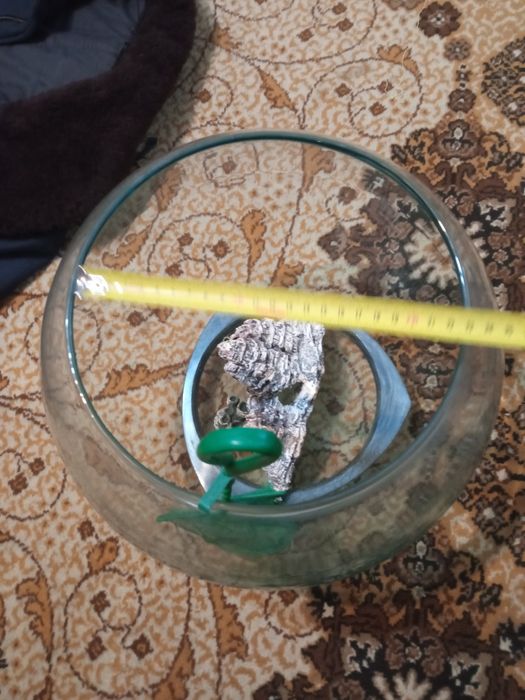 Акваріум круглий