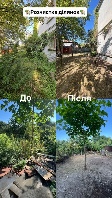 Благоустрій ділянок:косіння трави,обрізка дерев,вивіз сміття -Чернівці