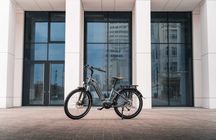 Elektryczny Lyon od Jobobike -silnik centralny,uniwersalny,kosz GRATIS