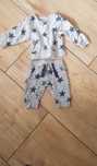 Dres dla niemowlaka fox&bany 62