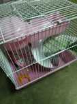 Gaiola para hamster