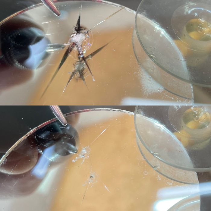 Ремонт и Полировка лобового стекла, полировка фар