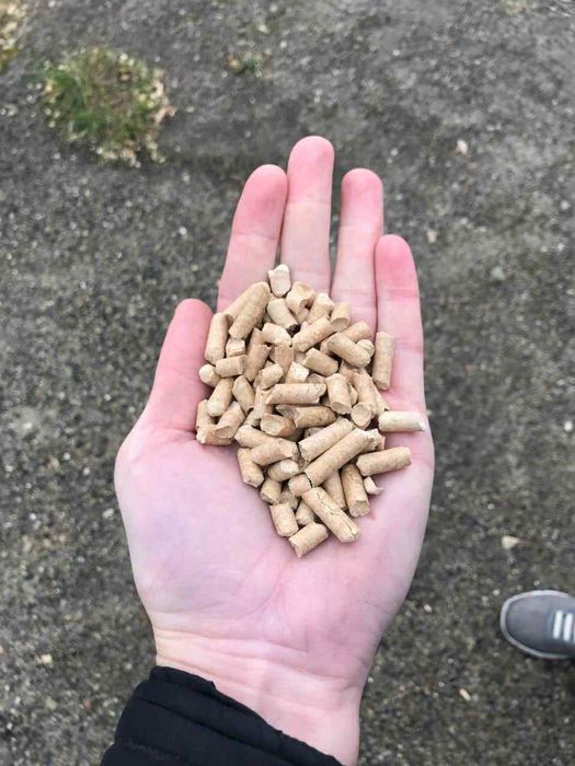 Pellet sosnowy a1 sosna