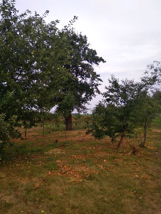 Земельна ділянка під будівництво