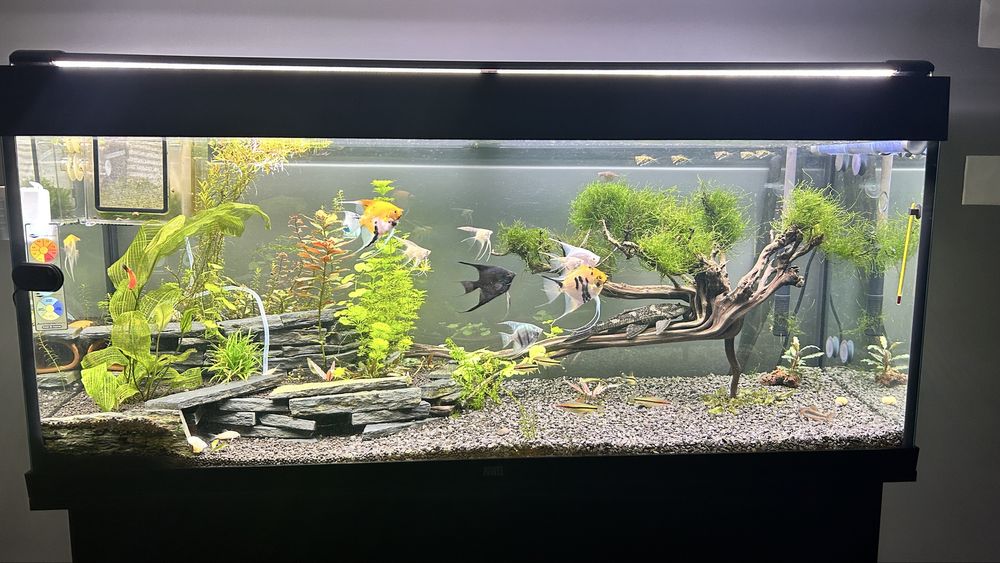 Iluminacao led aquario Aquatlantis 1200mm