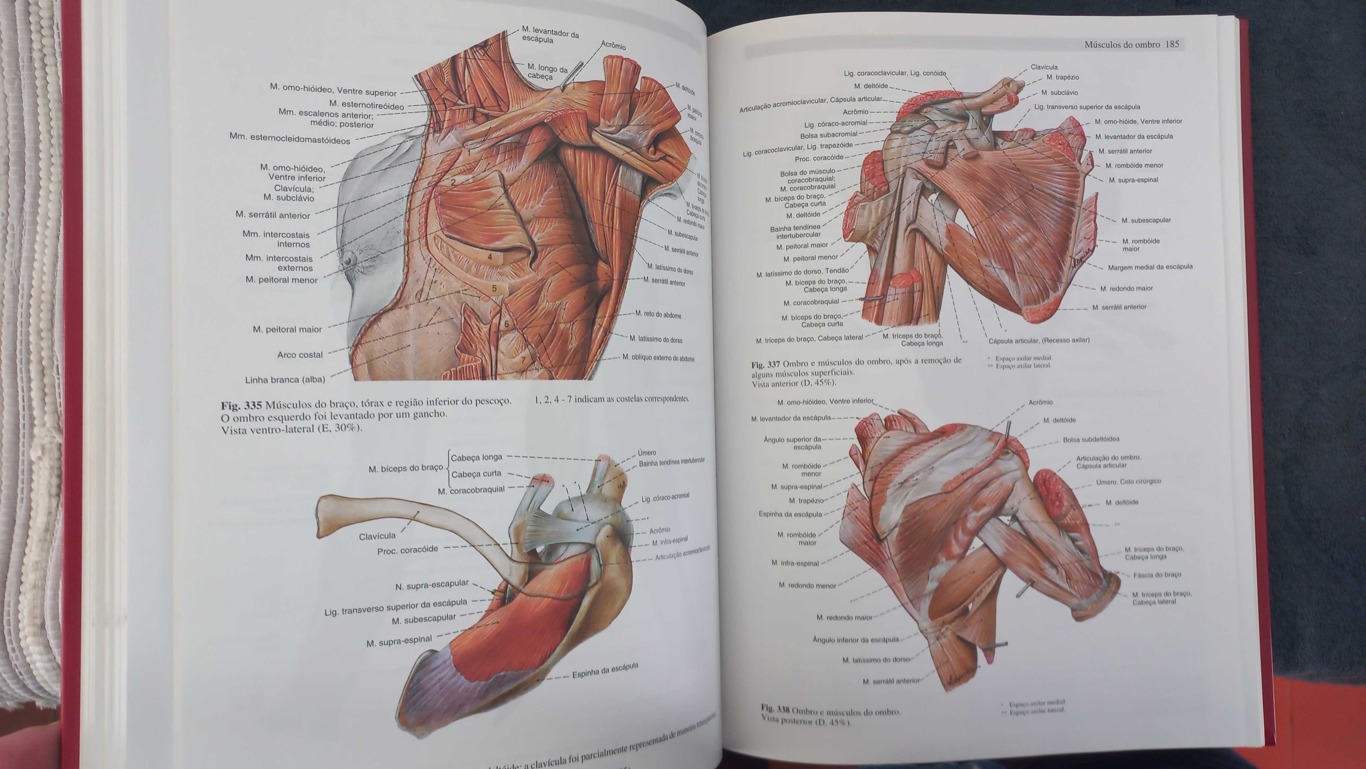 Sobotta: Atlas de Anatomia Humana