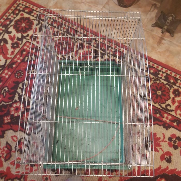 Клетка для животных