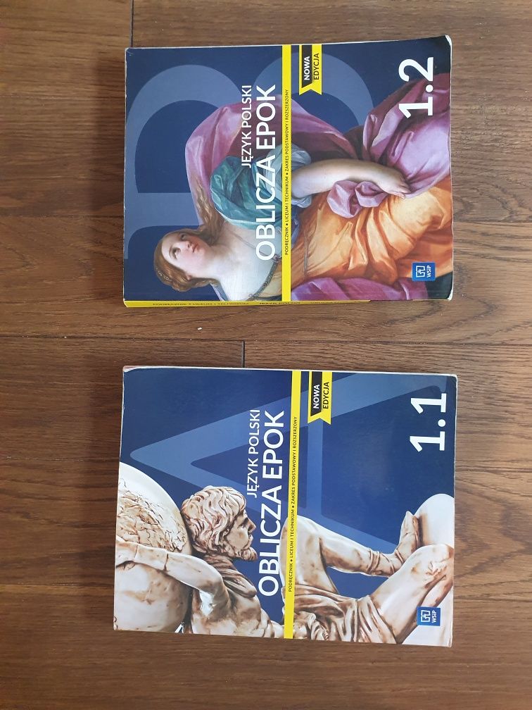 Sprzedam dwa podręczniki do polskiego klasa 1 dwie częście WSIP