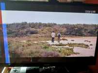Telewizor SAMSUNG 59" Uszkodzony