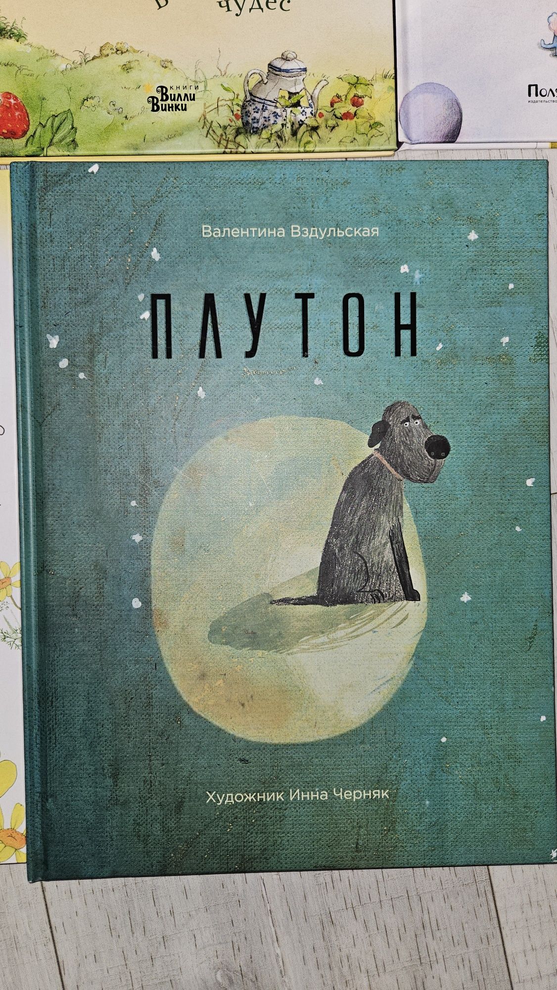 Перші дитячі книжки для найменших( російською)