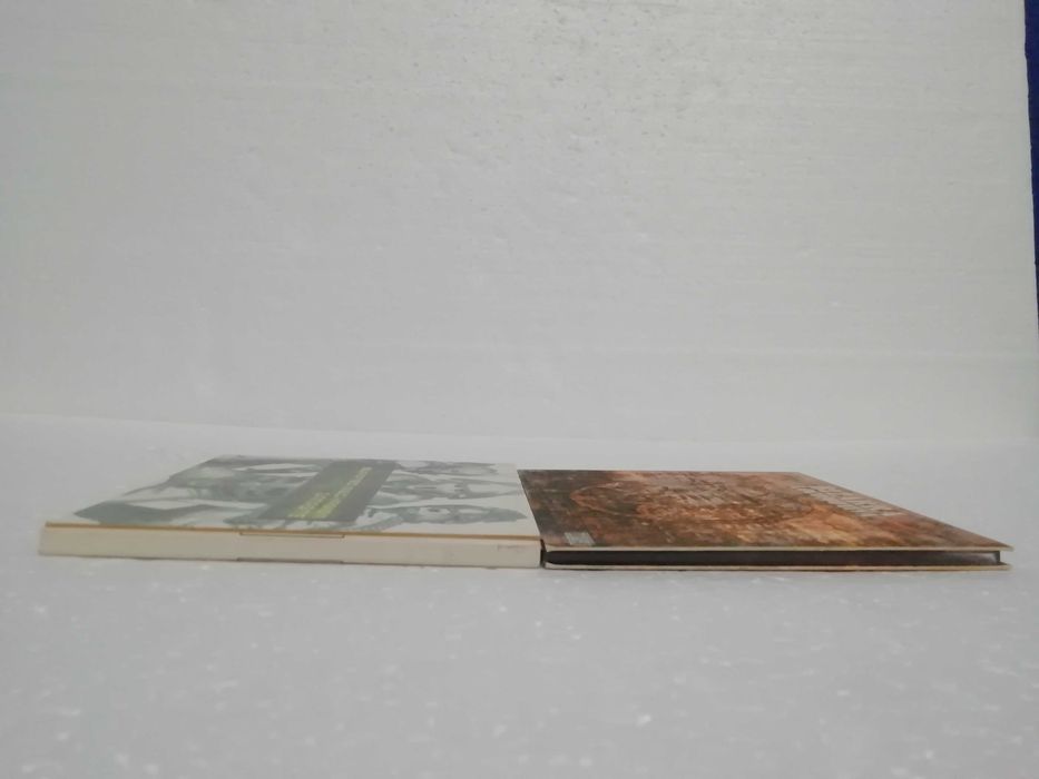 CDs Bizarra Locomotiva- Ódio & Blasted Mechanism- Namaste