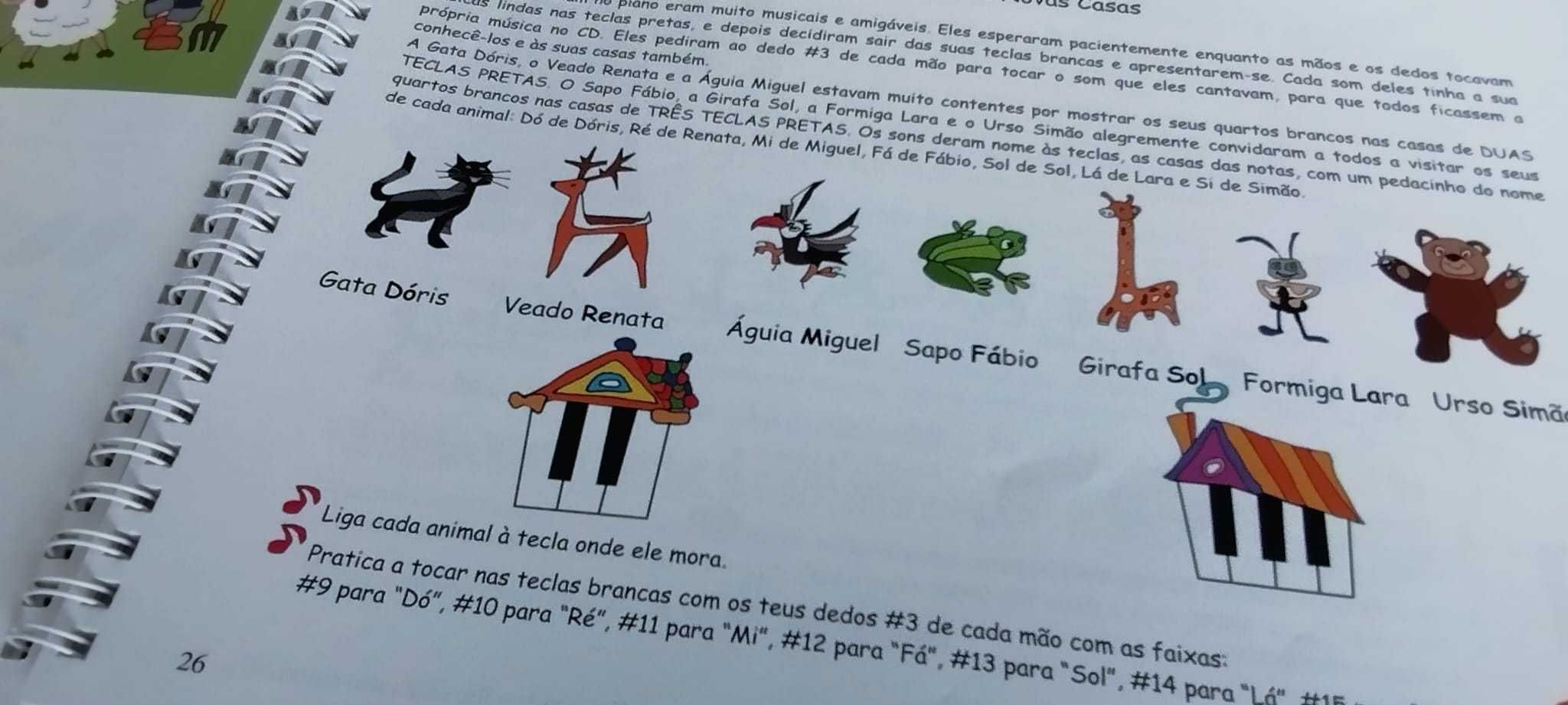 Livro Aprendizagem PIANO - IRINA GORIN