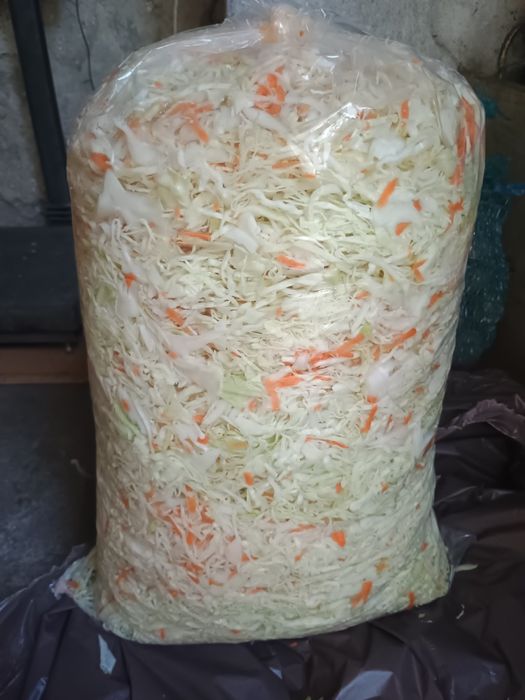 Sprzedam kapustę sztkowana i kiszona