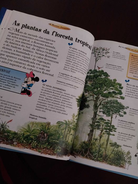 O Maravilhoso Mundo do Conhecimento, O Mundo Vegetal, Disney