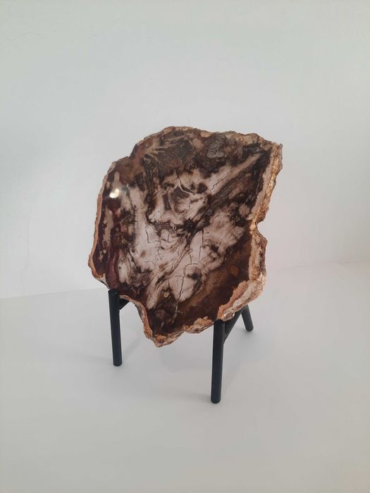 Peça decorativa de madeira petrificada.