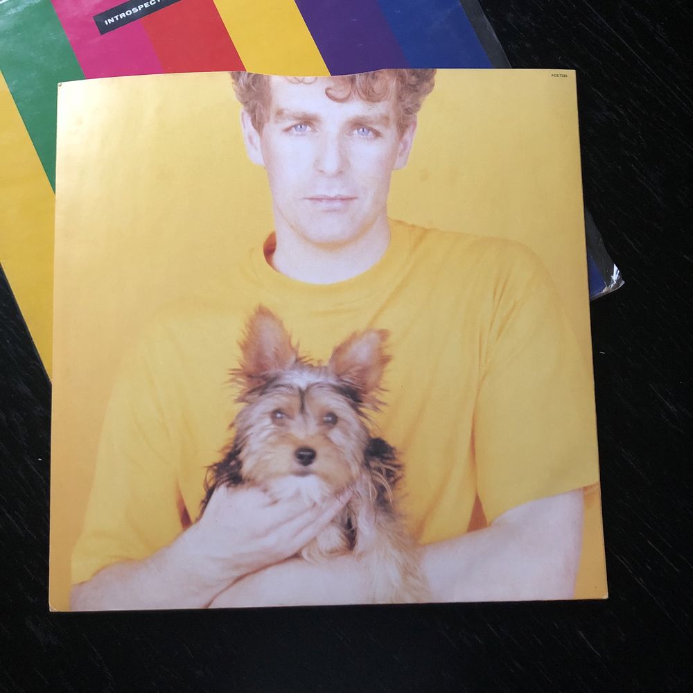 VINYL WINYL * Pet Shop Boys - Introspective