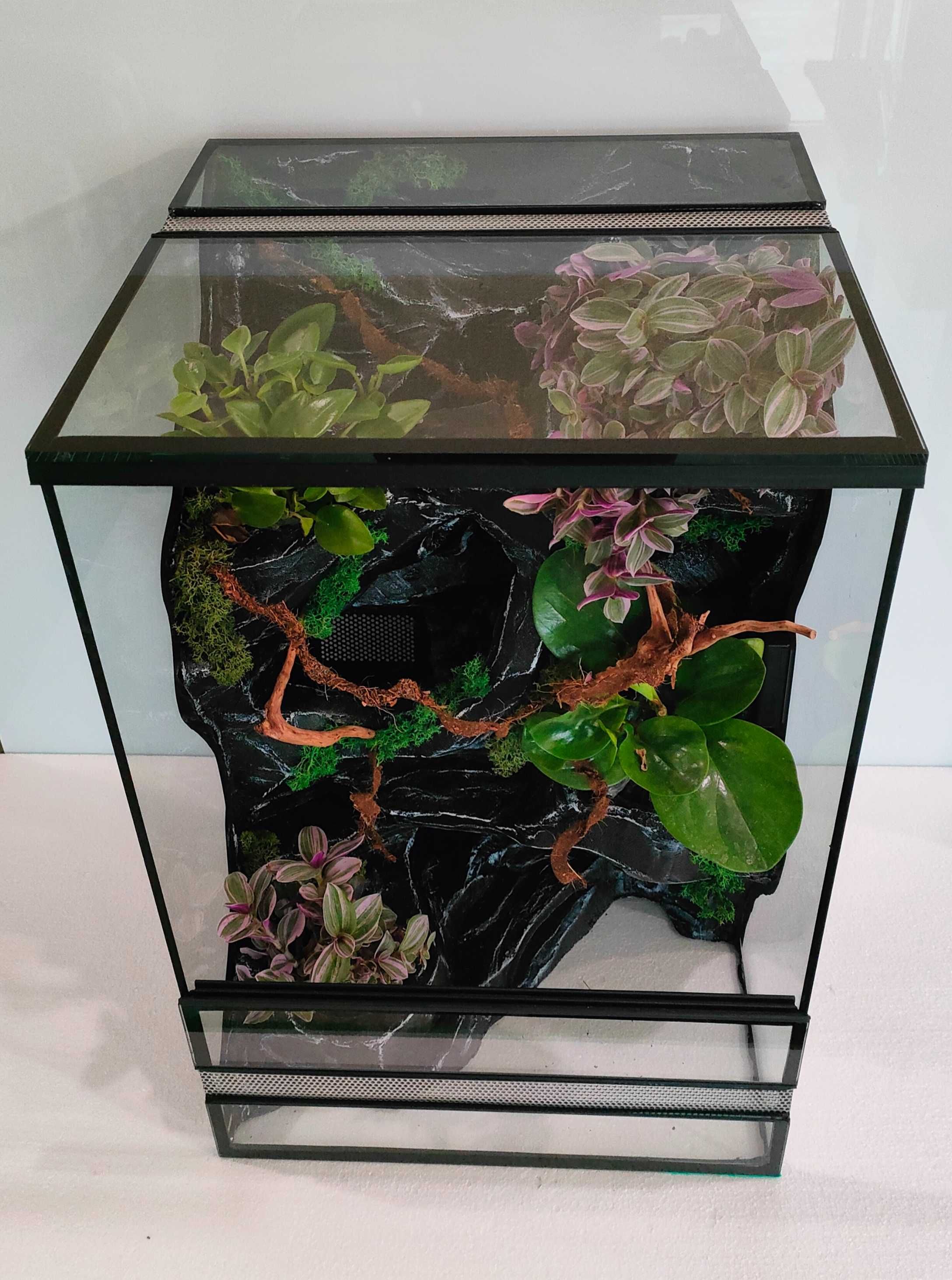 Terrarium z wodospadem, ledami dla gekona orzęsionego AquaWaves TW69WB