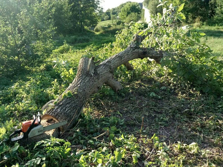 Зрізання дерев Пиління дров Резка дерева Распиловка Чистка Вывоз веток