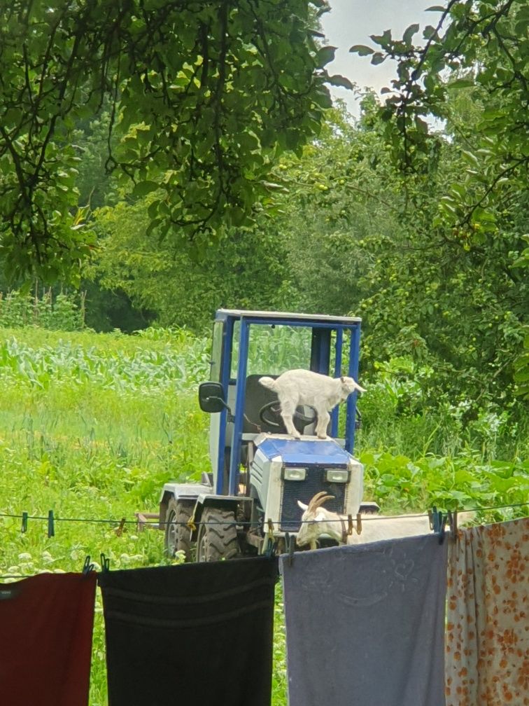 Продам, або обміняю саморобний мінітрактор.1600