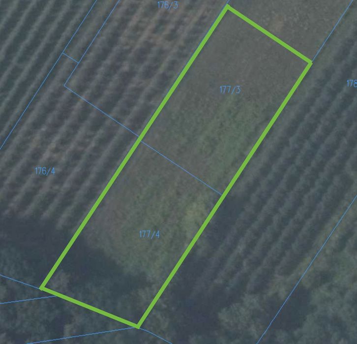 Działka budowlana z widokiem na las, Cholewianka, Gm. Kazimierz Dolny