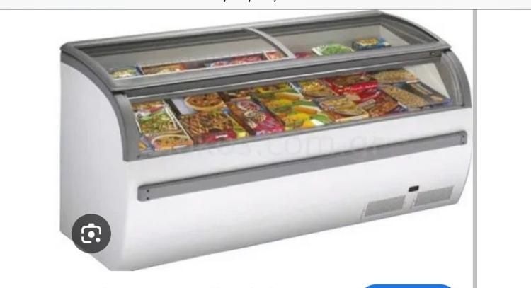Arca Congeladora