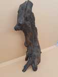 piękny, duży korzeń do akwarium 63cm