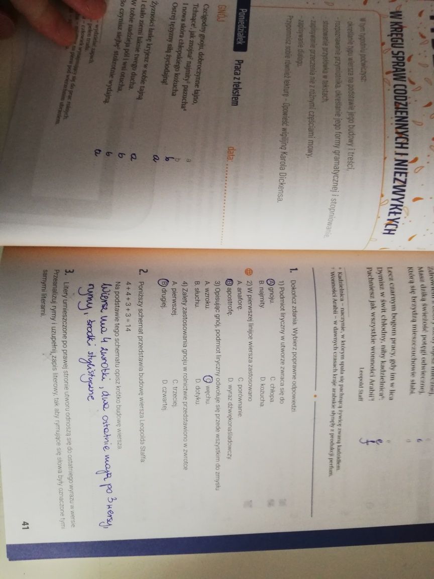 Kalendarz ósmoklasisty. Język polski