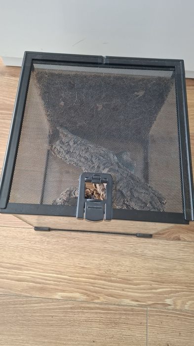 Terrarium Reptiplanet 30x30x30