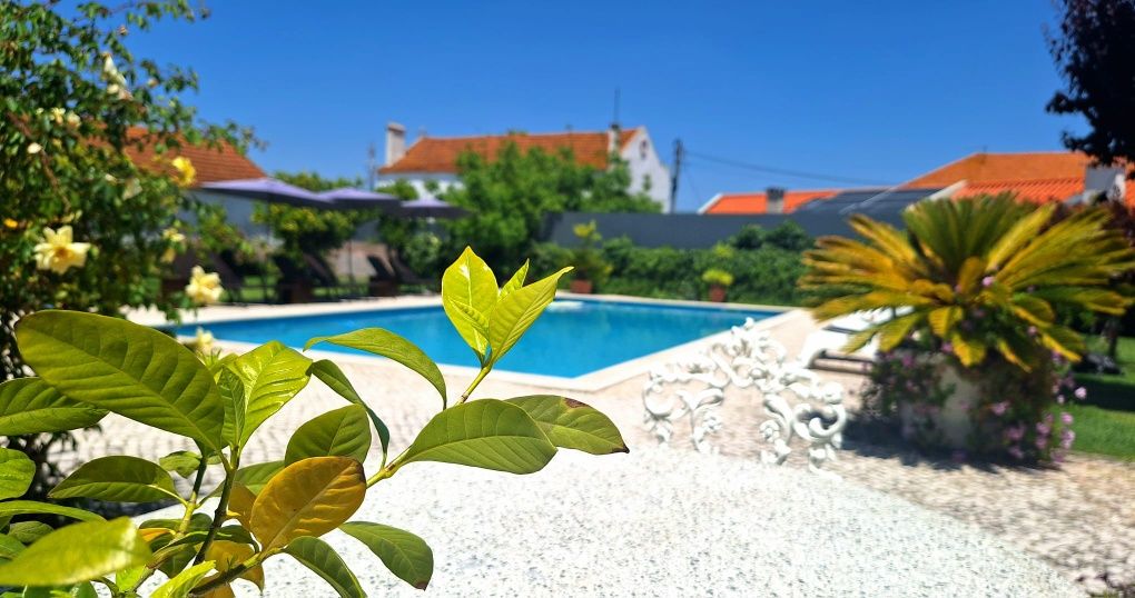 Aluguer de espaço com piscina 6x12m de água salgada  na Serra do Louro