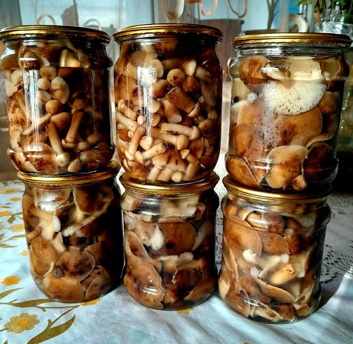 Опеньки мариновані