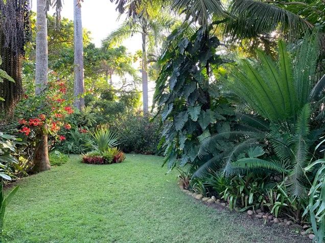 Limpeza de terrenos jardim