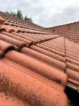 Dachówka betonowa braas Taunus pfanne rot ceglasta