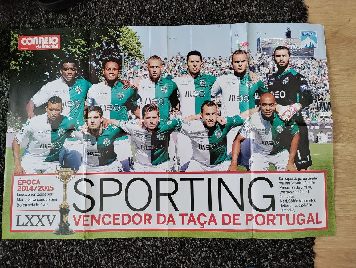 Poster Euro 2016