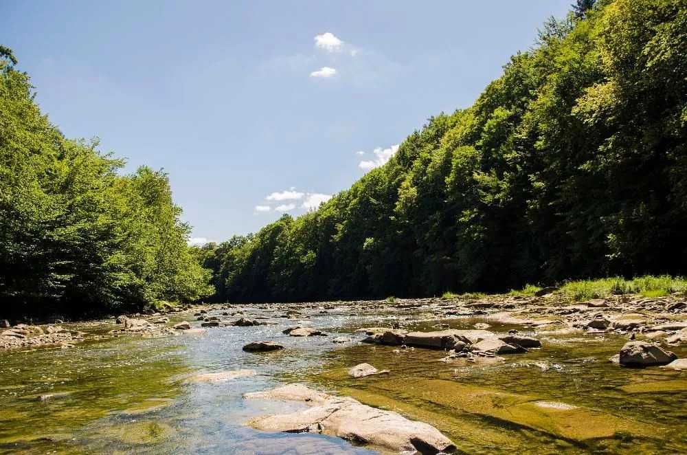 Agroturystyka "Zielony Bukowiec " - Noclegi Bieszczady Pokoje Domki