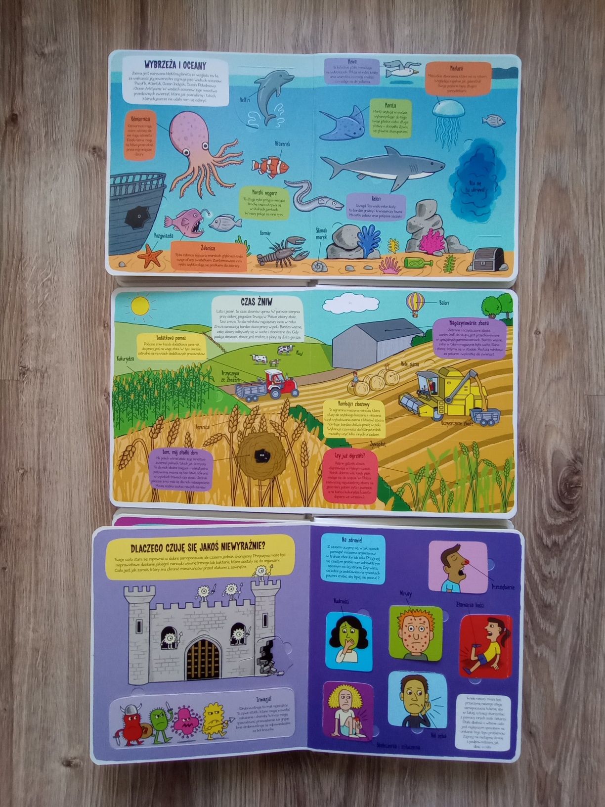 Książka Mali odkrywcy Świat zwierząt Moje Ciało Pojazdy Dinozaury