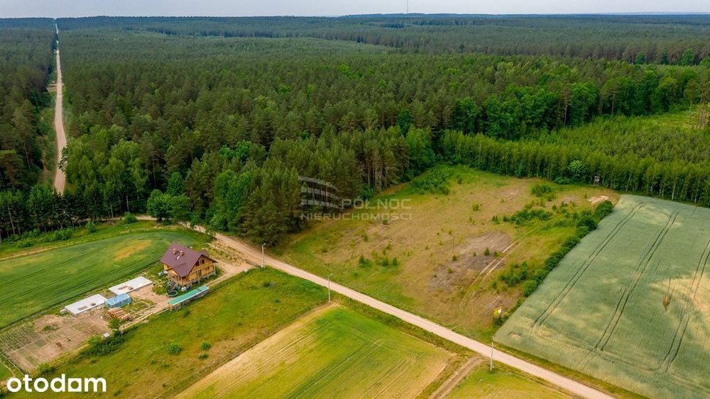 Zaciszna działka 3198 m2 blisko lasu!