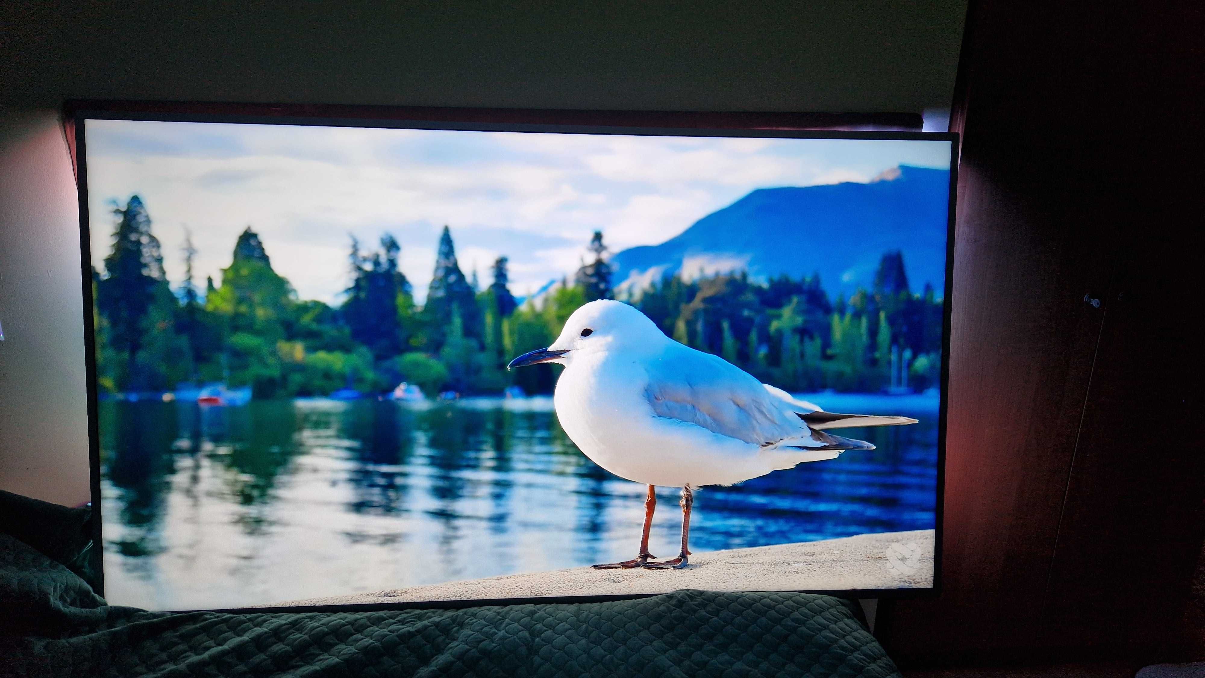Telewizor Philips 75cali LED 4K UHD Android