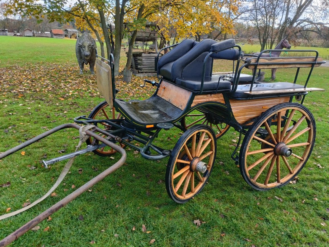 Bryczka konna wagonetka